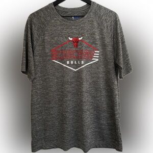 NBA Chicago Bulls Men’s Basketball Shirt,Color Grey, Size large.